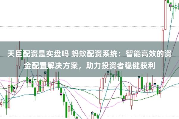 天臣配资是实盘吗 蚂蚁配资系统：智能高效的资金配置解决方案，助力投资者稳健获利