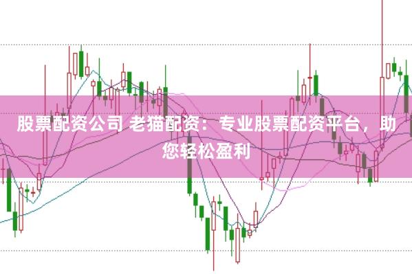 股票配资公司 老猫配资：专业股票配资平台，助您轻松盈利