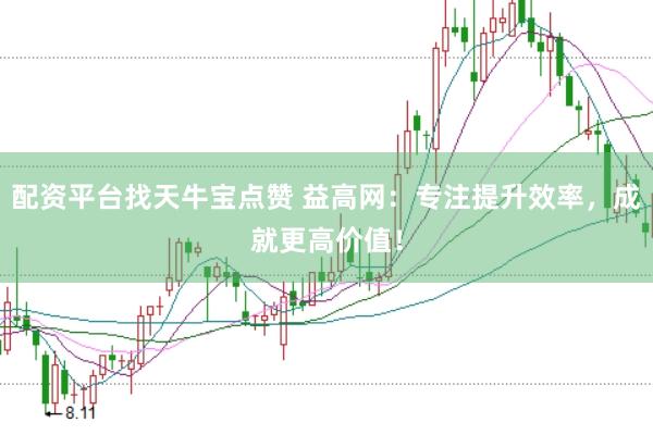 配资平台找天牛宝点赞 益高网：专注提升效率，成就更高价值！