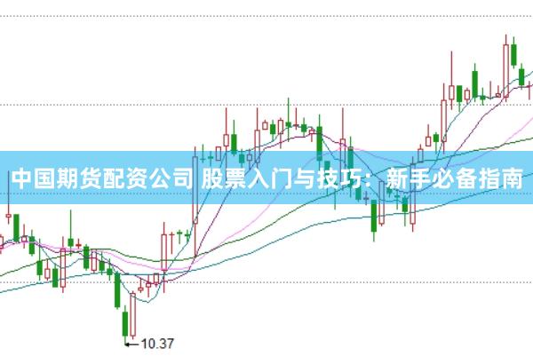 中国期货配资公司 股票入门与技巧：新手必备指南