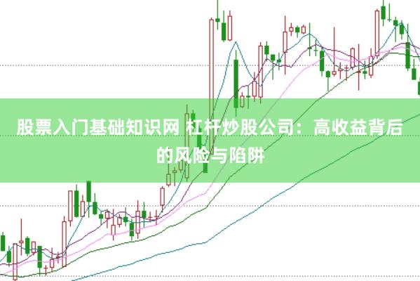 股票入门基础知识网 杠杆炒股公司：高收益背后的风险与陷阱