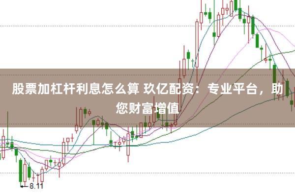 股票加杠杆利息怎么算 玖亿配资：专业平台，助您财富增值