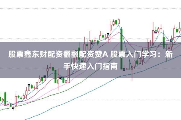 股票鑫东财配资翻翻配资赞A 股票入门学习：新手快速入门指南