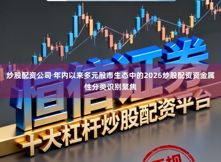 炒股配资公司 年内以来多元股市生态中的2026炒股配资资金属性分类识别聚焦