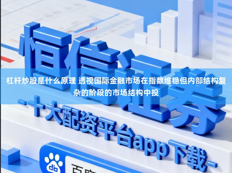 杠杆炒股是什么原理 透视国际金融市场在指数维稳但内部结构复杂的阶段的市场结构中投