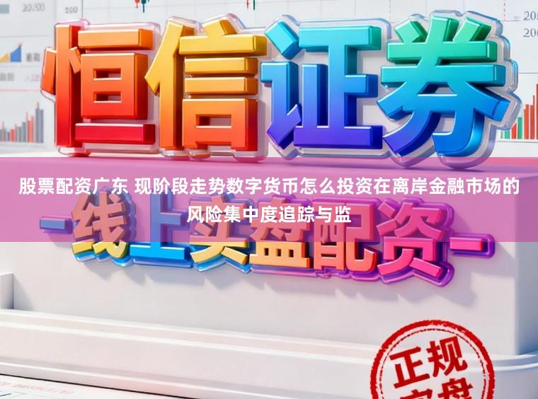 股票配资广东 现阶段走势数字货币怎么投资在离岸金融市场的风险集中度追踪与监