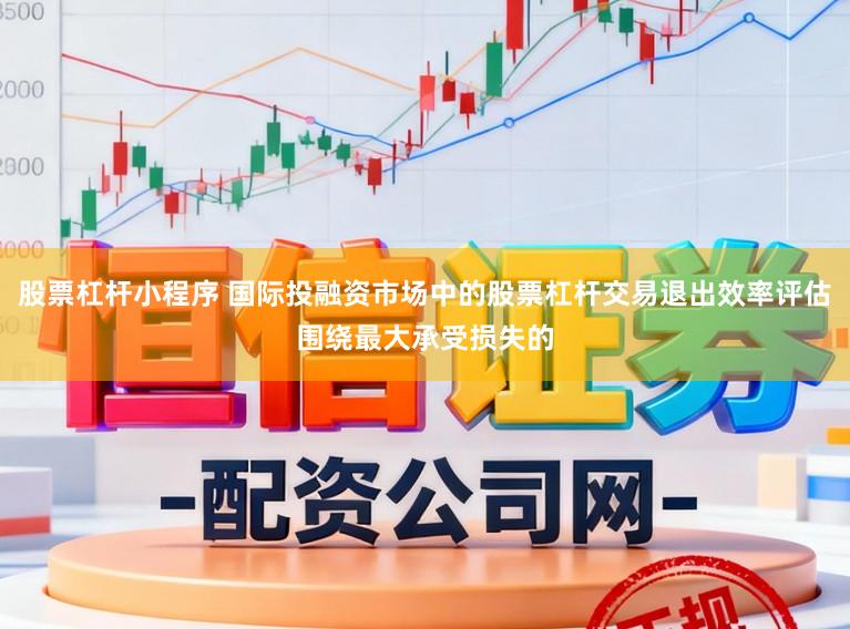 股票杠杆小程序 国际投融资市场中的股票杠杆交易退出效率评估围绕最大承受损失的
