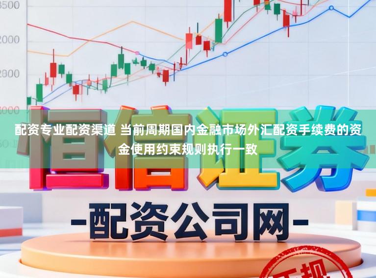 配资专业配资渠道 当前周期国内金融市场外汇配资手续费的资金使用约束规则执行一致